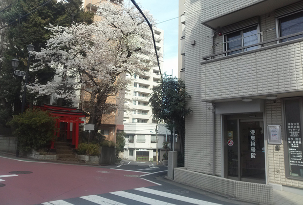 接骨院外観2